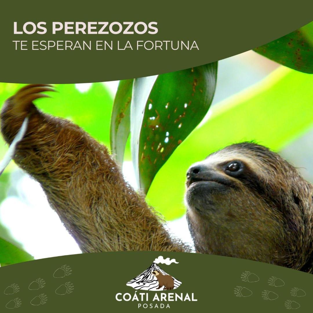 Coati Del Arenal Posada Ла Фортуна Экстерьер фото