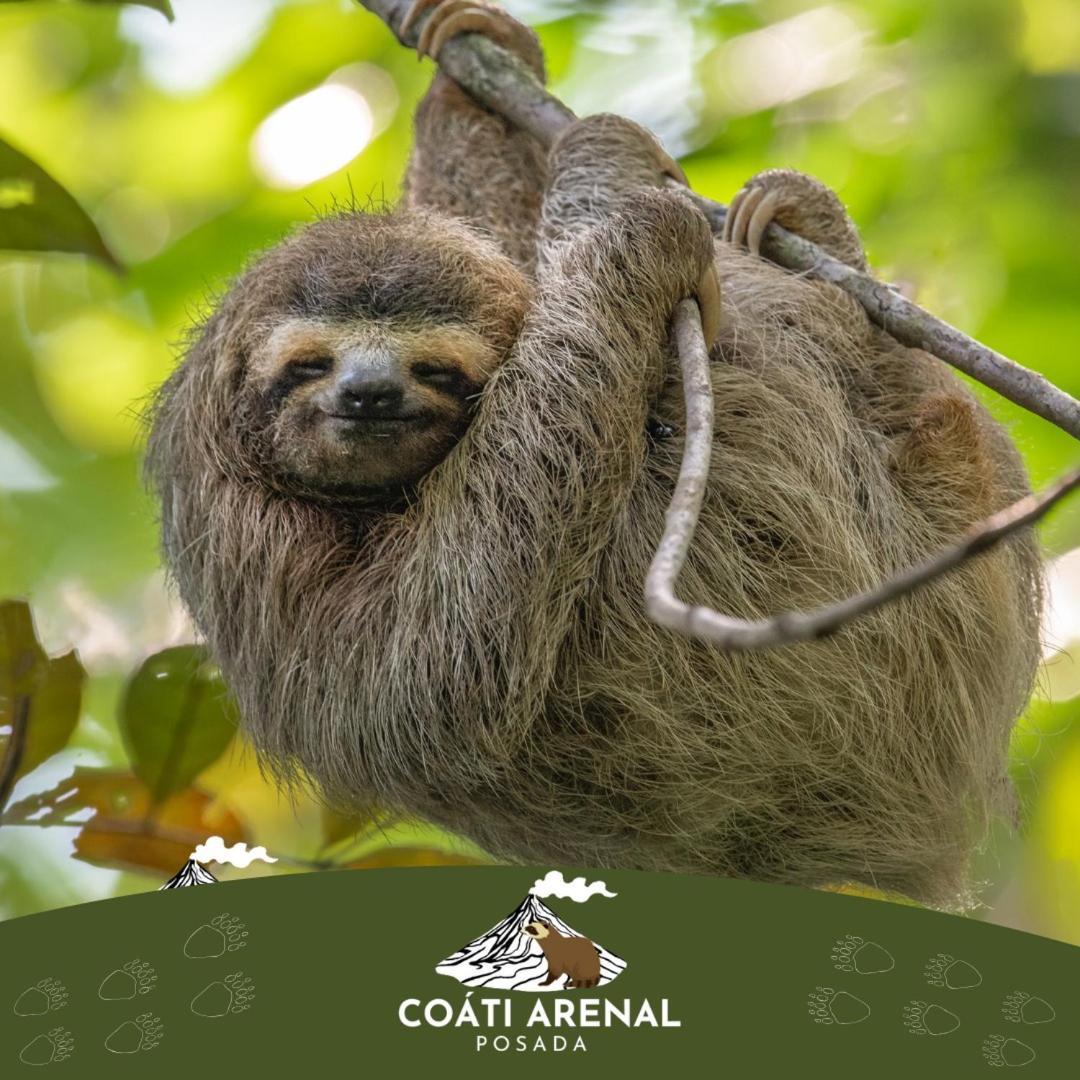 Coati Del Arenal Posada Ла Фортуна Экстерьер фото
